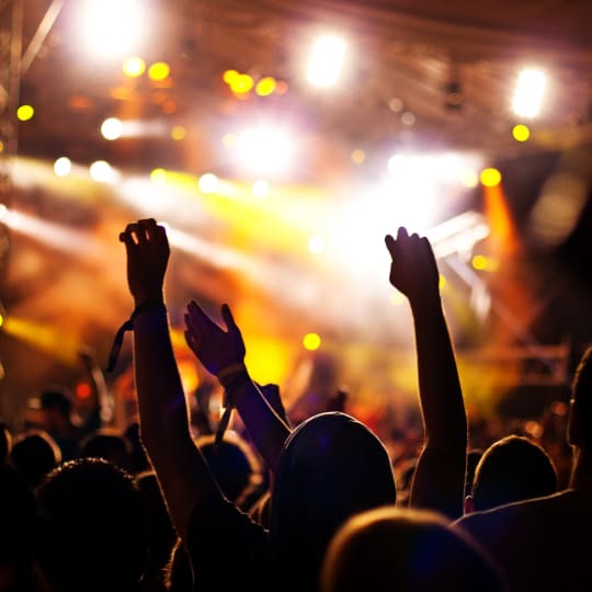 Music concert crowd